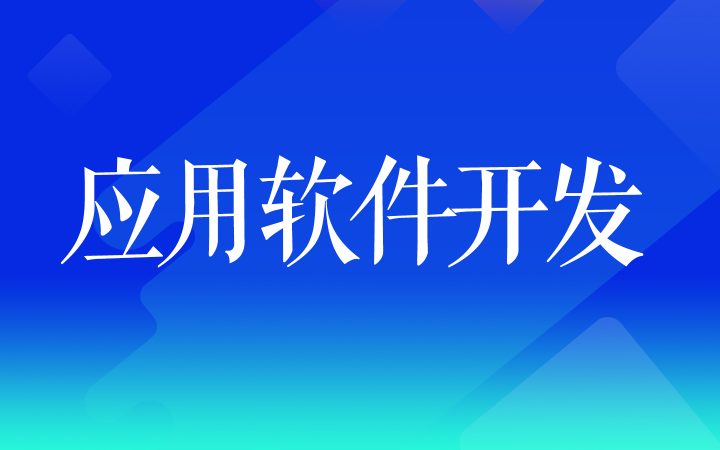 行业应用软件开发IT外包定制开发管理系统大同
